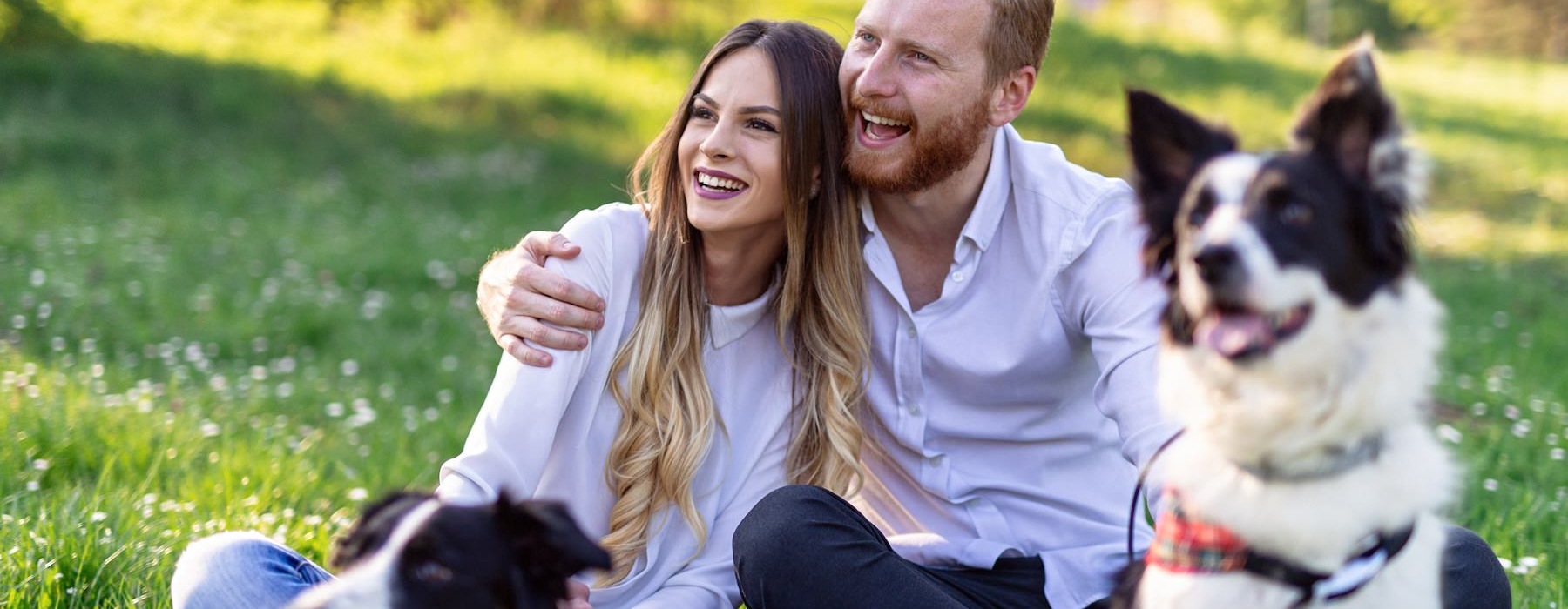 a man and woman with dogs